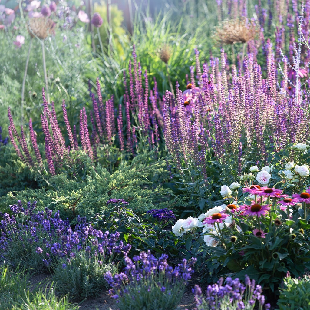 ShupattoコンパクトバッグM Dreamy Conservatory