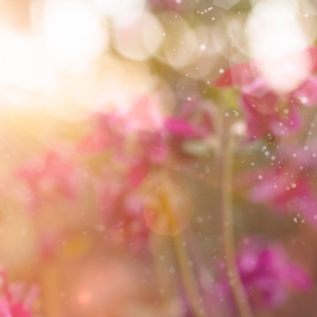 ShupattoコンパクトバッグM Dreamy Conservatory