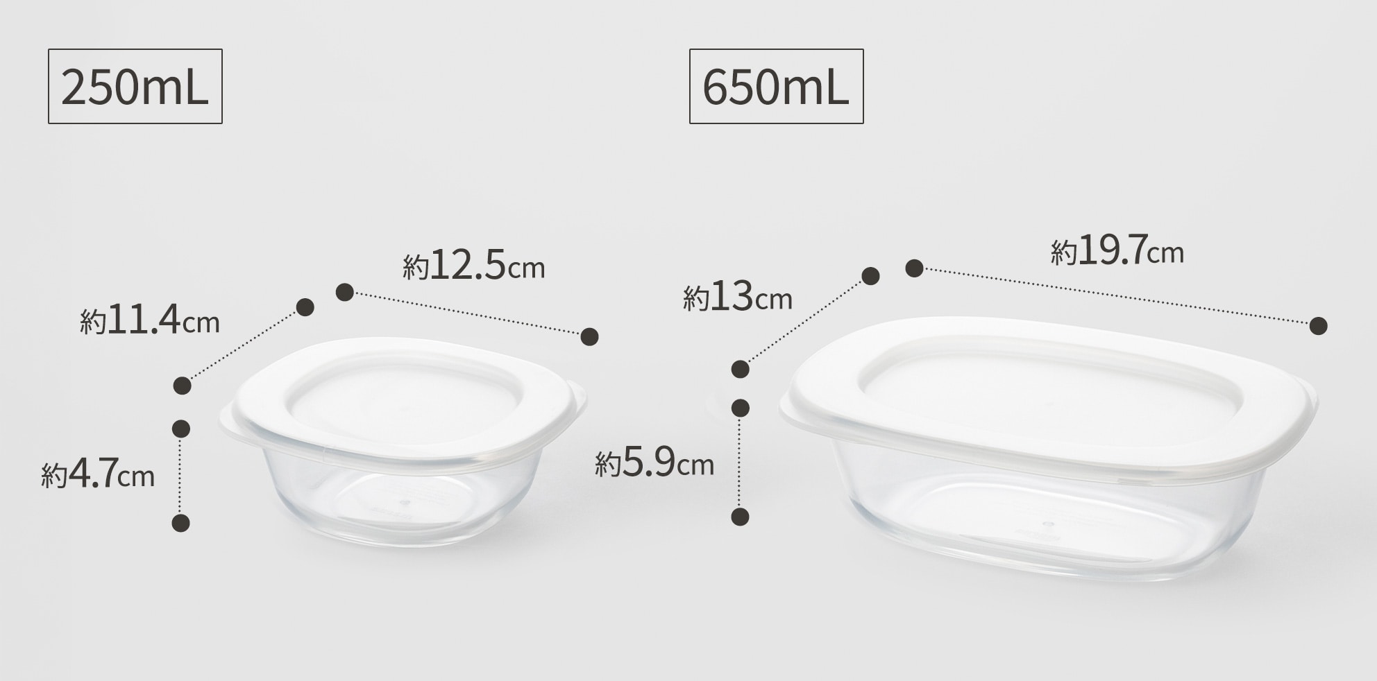 [ギフト]うつわにもなる保存容器 250mL