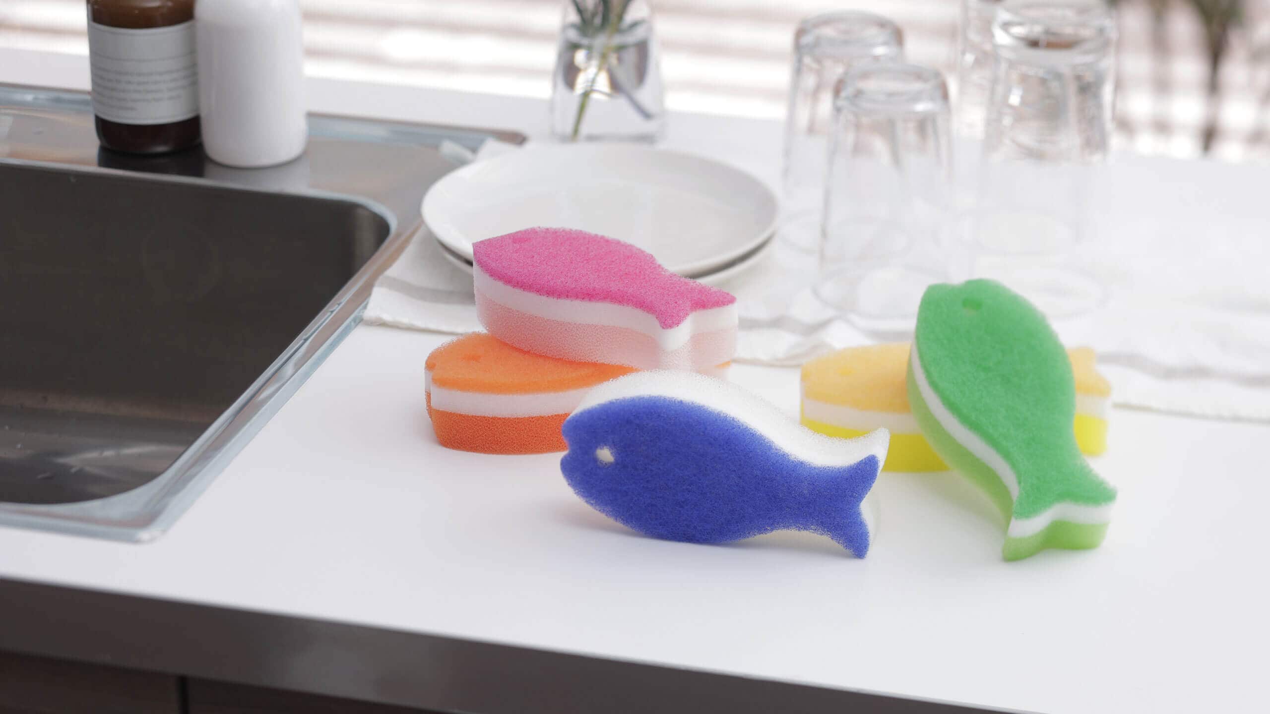 おさかなスポンジ 冬のおくりもの