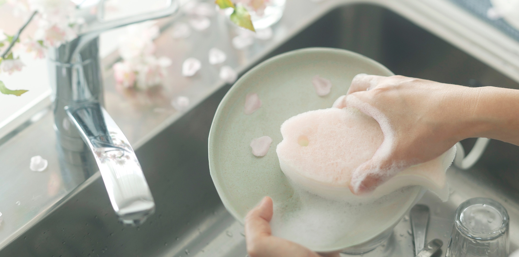 おさかなスポンジ さくら